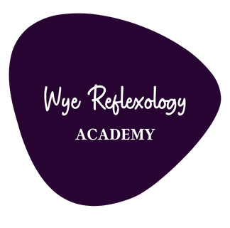 Wye Reflexology Academy logo
